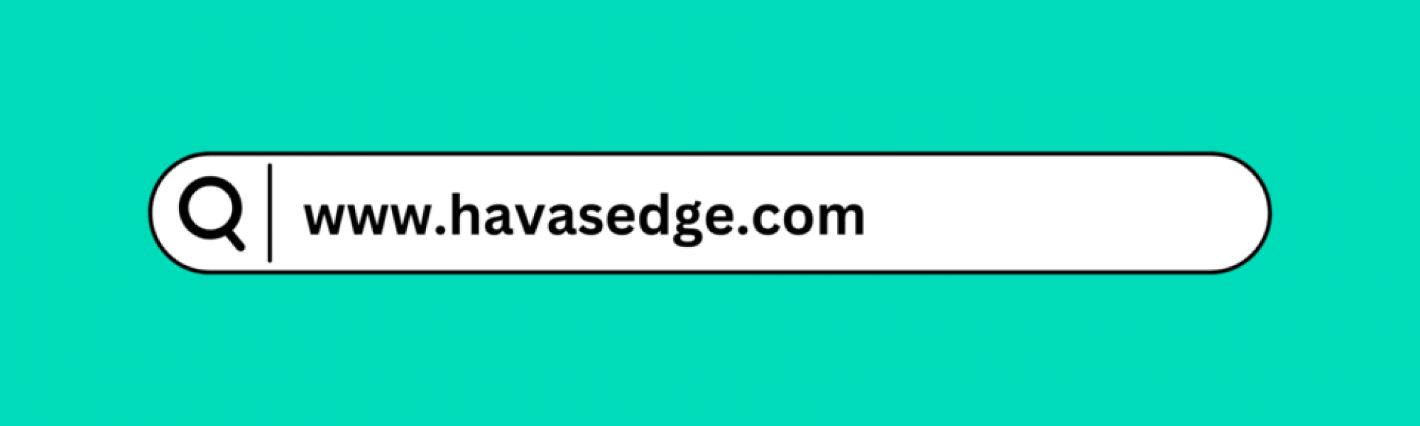 A search engine toolbar with the phrase "www.havasedge.fr" typed into it